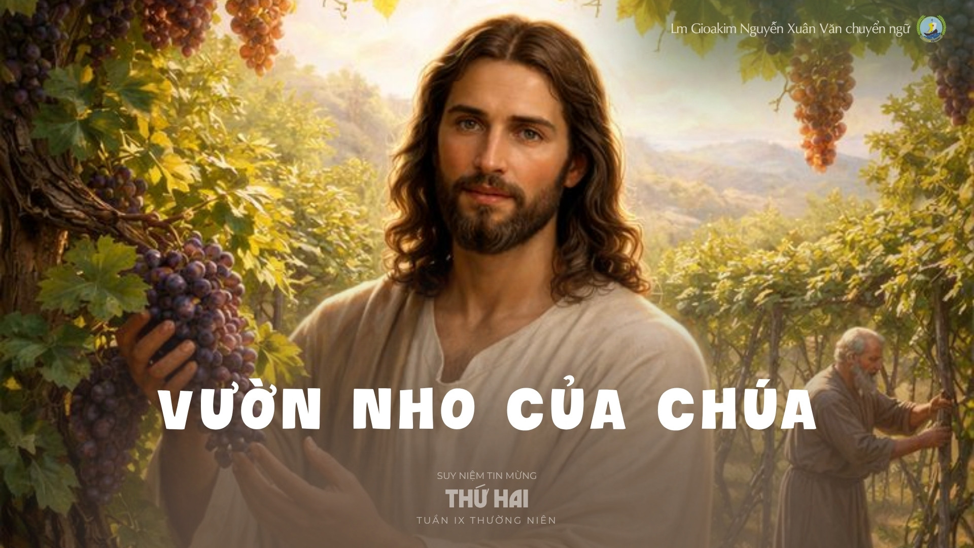 Lời ban Sự sống: Vườn nho của Chúa_Thứ Hai tuần IX _ Mùa Thường niên